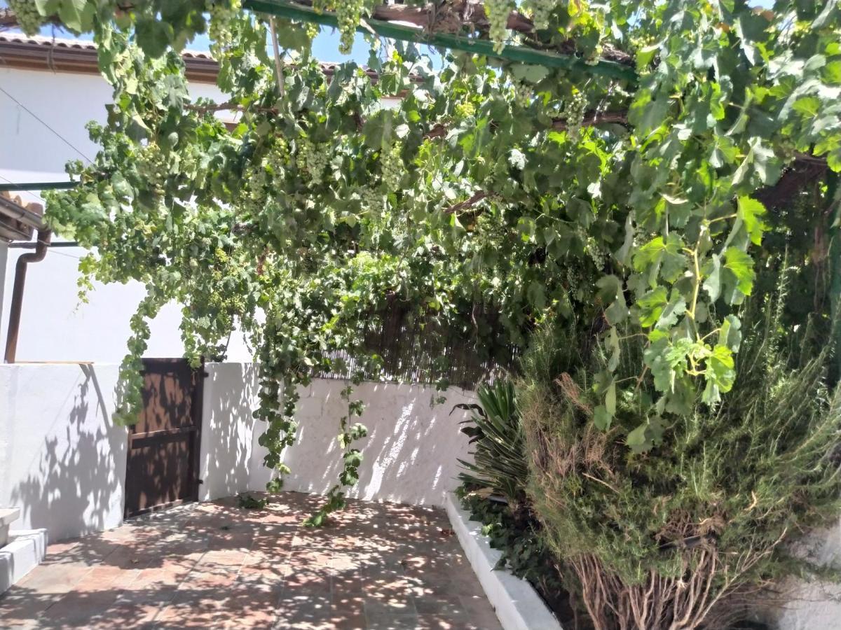 La Casa Del Ingles Vila Montefrío Exterior foto